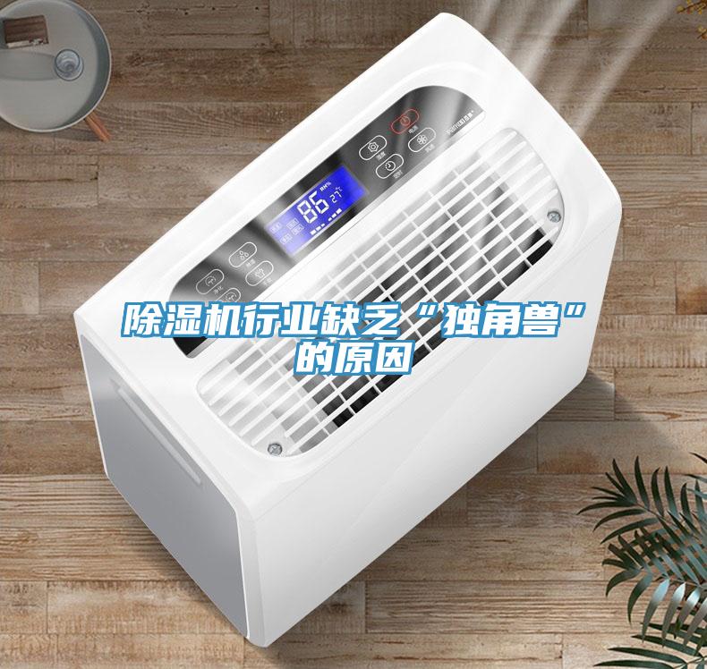 除濕機行業(yè)缺乏“獨角獸”的原因