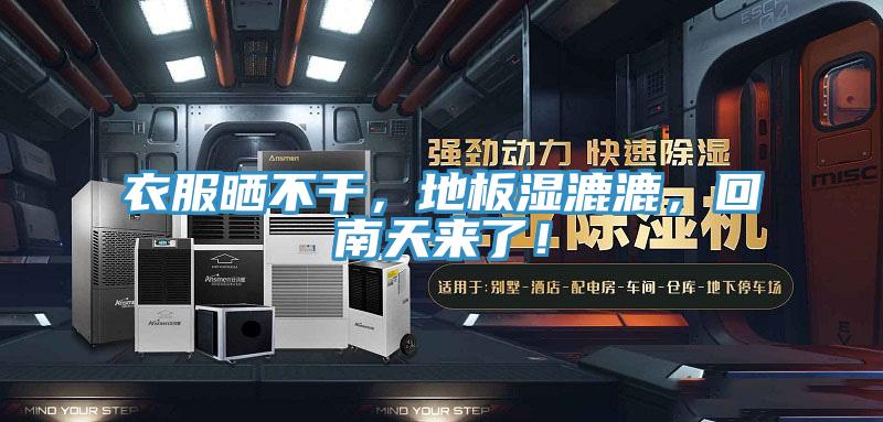 衣服曬不干，地板濕漉漉，回南天來了！