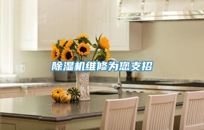 除濕機維修為您支招