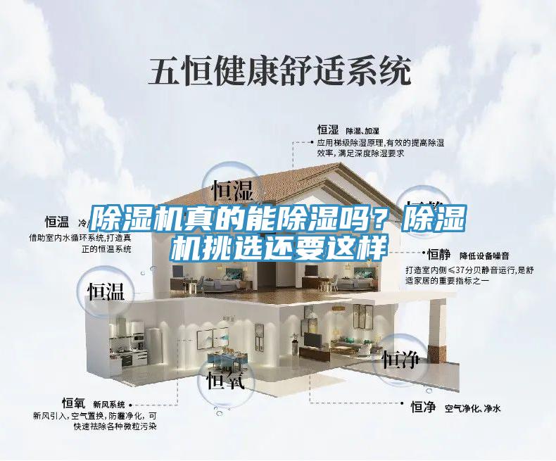 除濕機真的能除濕嗎？除濕機挑選還要這樣