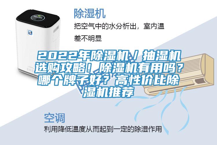 2022年除濕機(jī)／抽濕機(jī)選購攻略！除濕機(jī)有用嗎？哪個牌子好？高性價比除濕機(jī)推薦