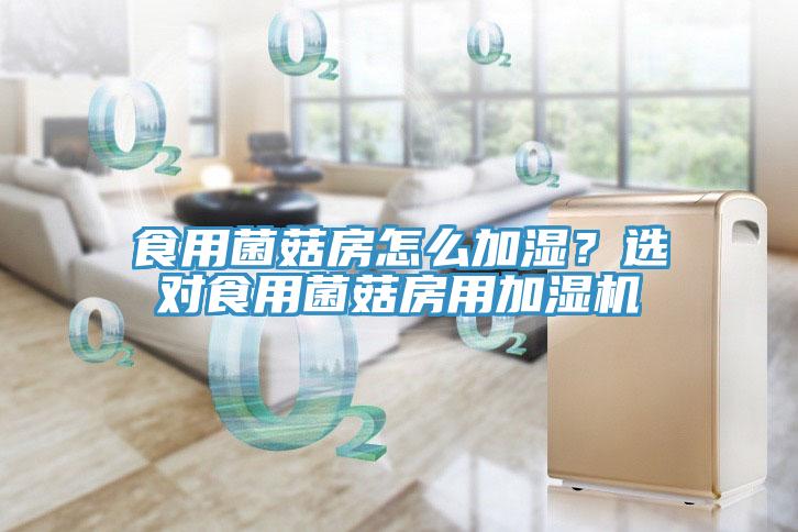 食用菌菇房怎么加濕？選對食用菌菇房用加濕機(jī)