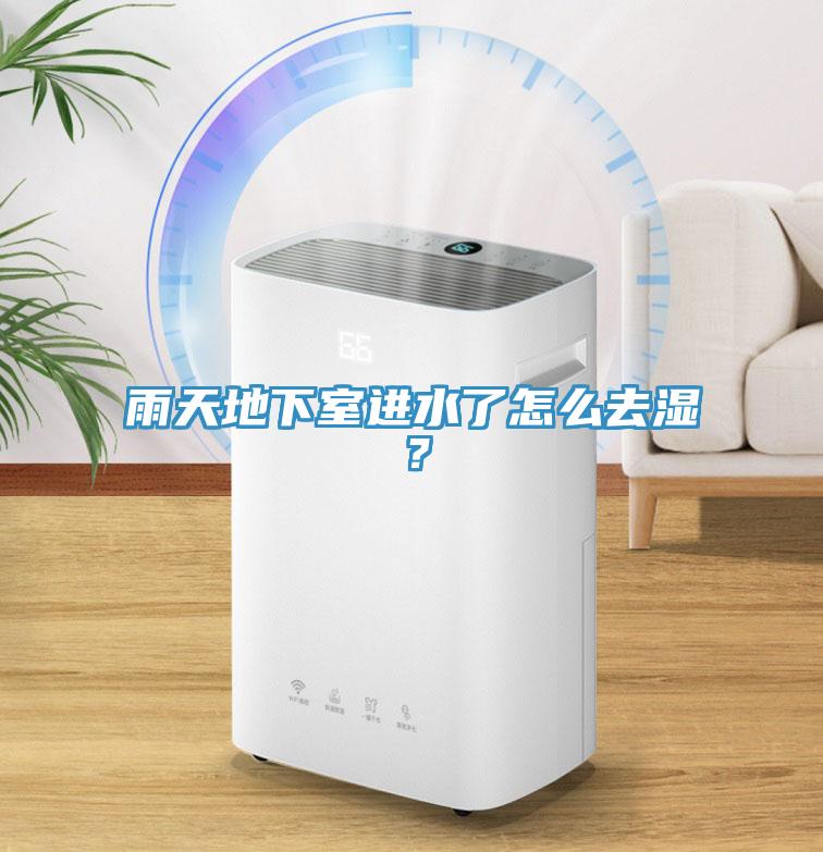 雨天地下室進(jìn)水了怎么去濕？