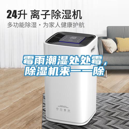 霉雨潮濕處處霉，除濕機(jī)來一一除