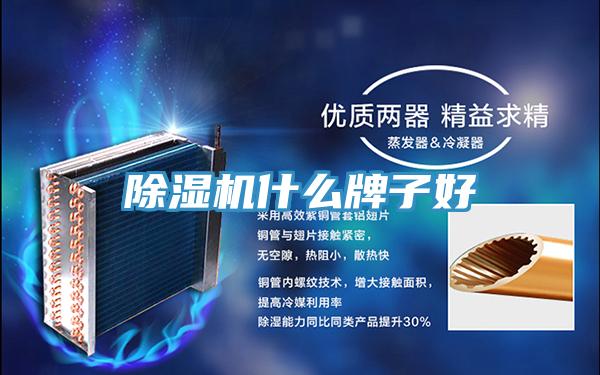 除濕機(jī)什么牌子好