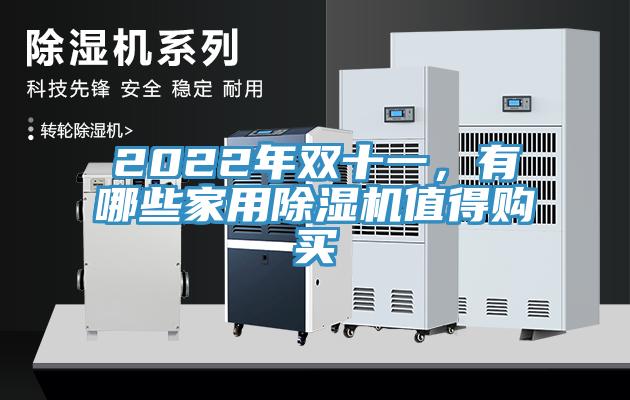 2022年雙十一，有哪些家用除濕機(jī)值得購買