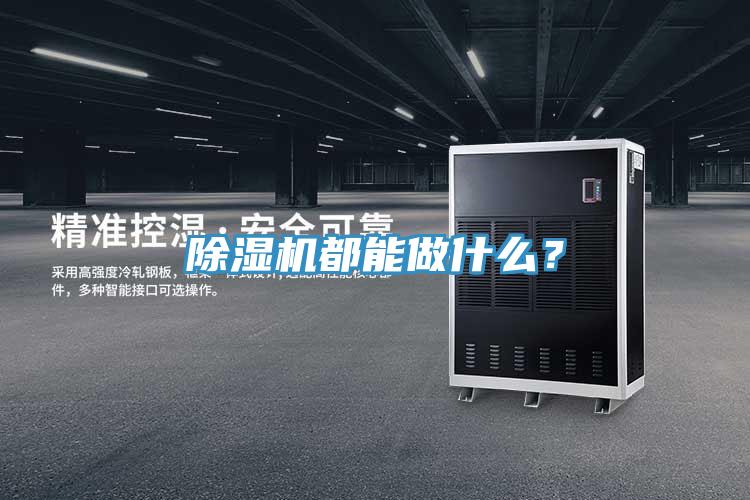 除濕機(jī)都能做什么？