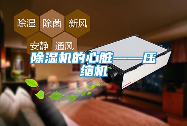 除濕機(jī)的心臟——壓縮機(jī)