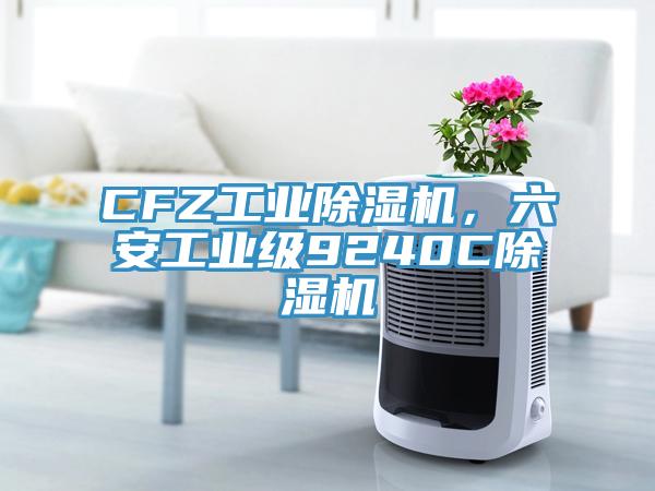 CFZ工業(yè)除濕機(jī)，六安工業(yè)級(jí)9240C除濕機(jī)