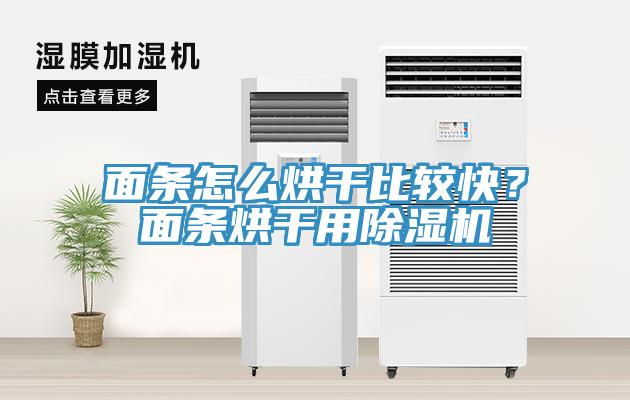 面條怎么烘干比較快？面條烘干用除濕機(jī)