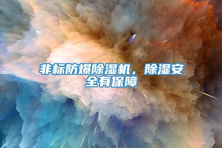 非標(biāo)防爆除濕機(jī)，除濕安全有保障