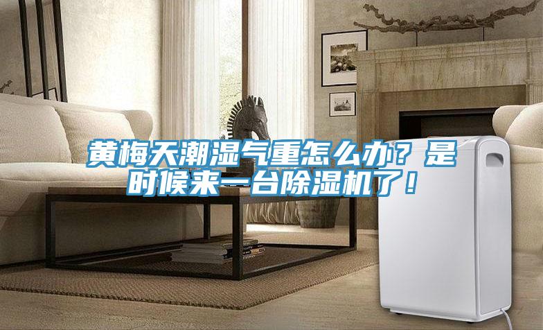 黃梅天潮濕氣重怎么辦？是時候來一臺除濕機了！