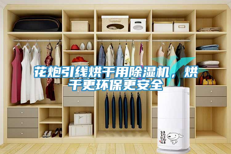 花炮引線烘干用除濕機(jī)，烘干更環(huán)保更安全