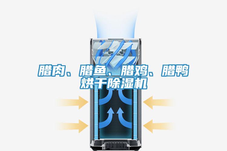 臘肉、臘魚(yú)、臘雞、臘鴨烘干除濕機(jī)