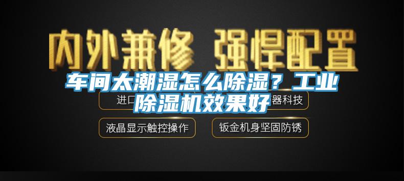 車間太潮濕怎么除濕？工業(yè)除濕機(jī)效果好