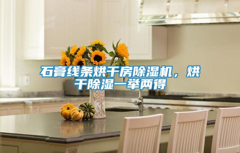 石膏線條烘干房除濕機，烘干除濕一舉兩得