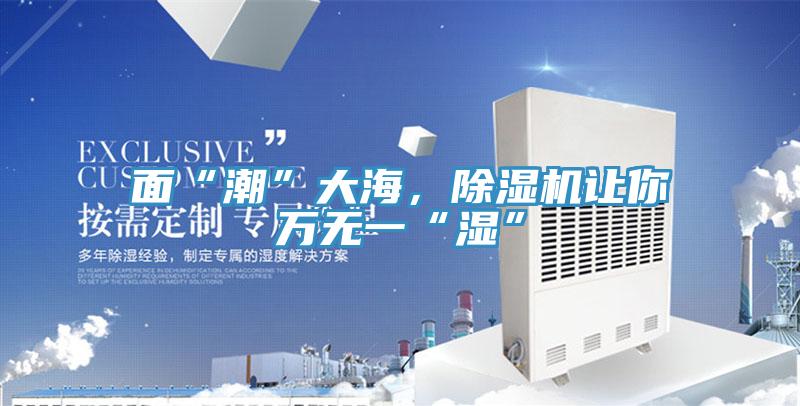 面“潮”大海，除濕機(jī)讓你萬無一“濕”