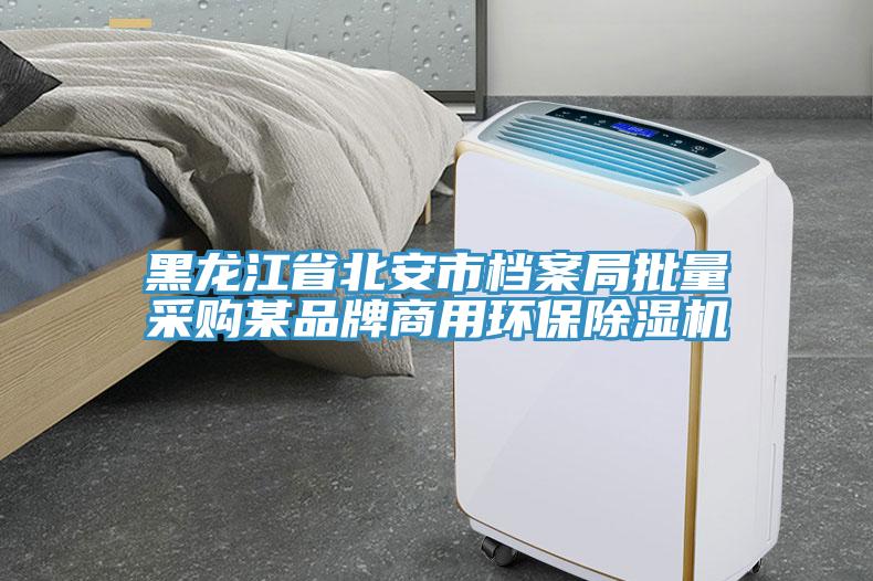 黑龍江省北安市檔案局批量采購某品牌商用環(huán)保除濕機