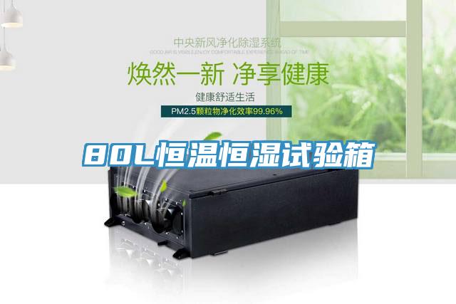 80L恒溫恒濕試驗(yàn)箱