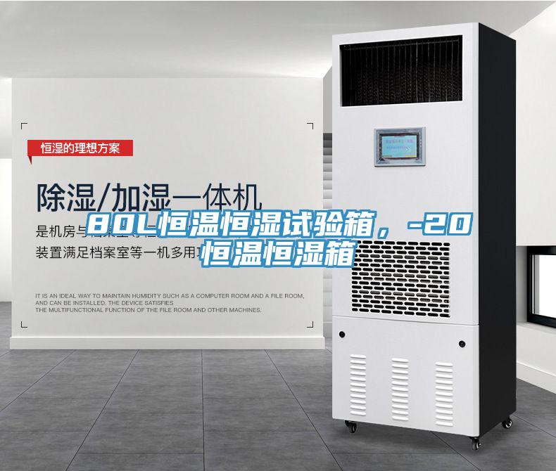 80L恒溫恒濕試驗(yàn)箱，-20℃恒溫恒濕箱