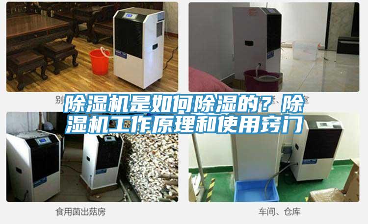 除濕機(jī)是如何除濕的？除濕機(jī)工作原理和使用竅門