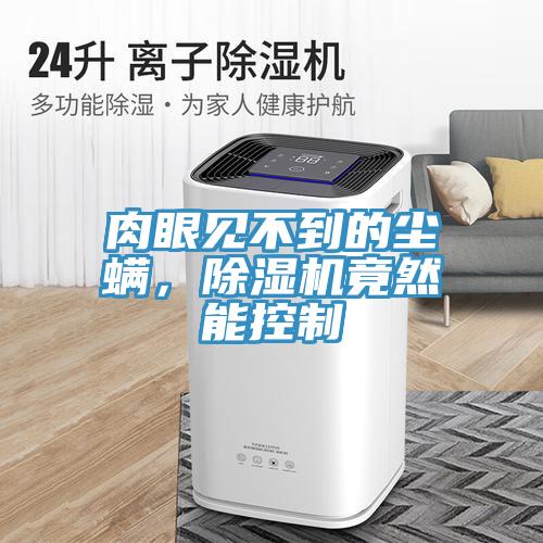 肉眼見不到的塵螨，除濕機(jī)竟然能控制