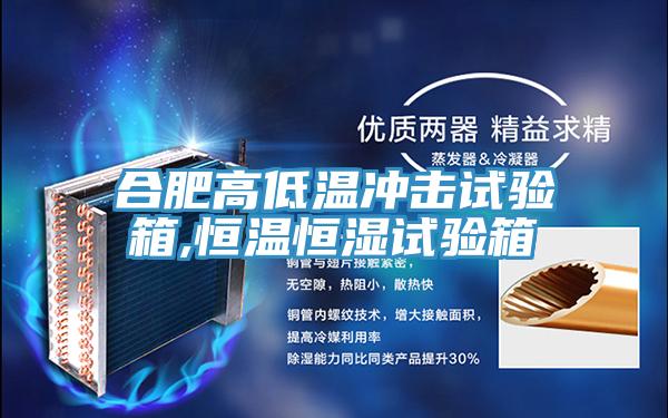 合肥高低溫沖擊試驗箱,恒溫恒濕試驗箱