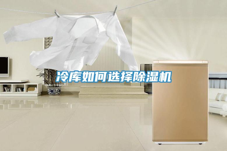 冷庫如何選擇除濕機(jī)