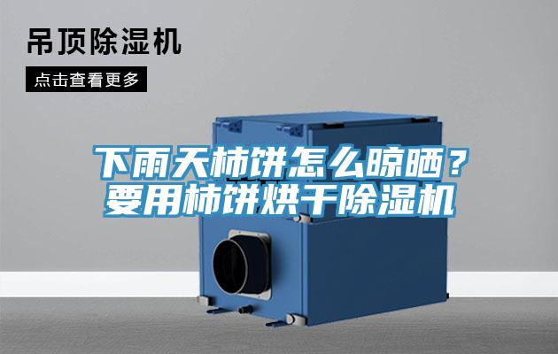 下雨天柿餅怎么晾曬？要用柿餅烘干除濕機