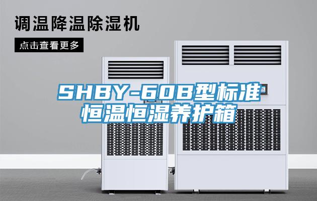 SHBY-60B型標(biāo)準(zhǔn)恒溫恒濕養(yǎng)護箱