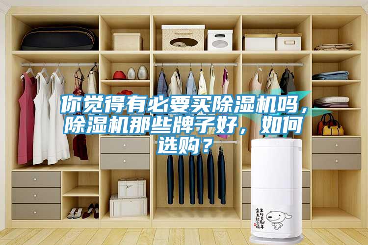 你覺得有必要買除濕機嗎，除濕機那些牌子好，如何選購？