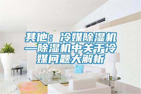 其他：冷媒除濕機(jī)—除濕機(jī)中關(guān)于冷媒問題大解析