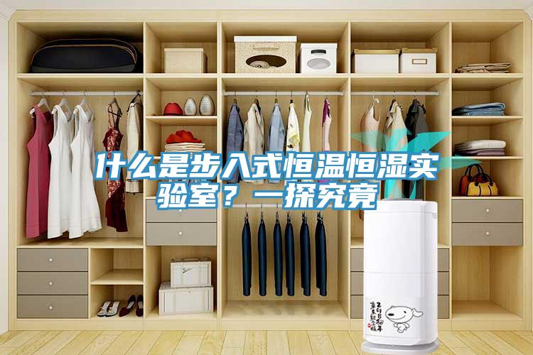 什么是步入式恒溫恒濕實驗室？一探究竟