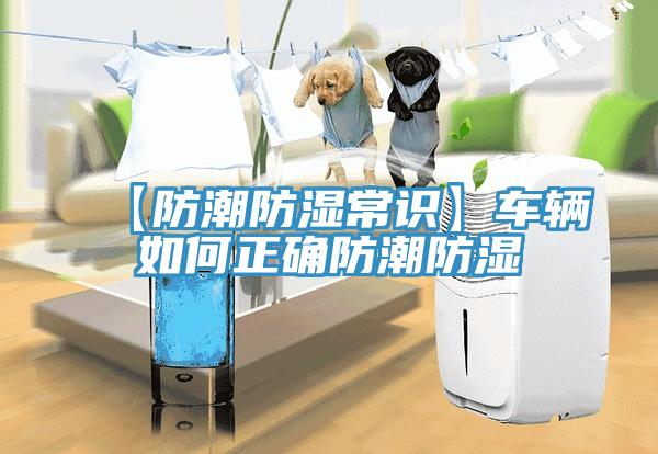 【防潮防濕常識】車輛如何正確防潮防濕