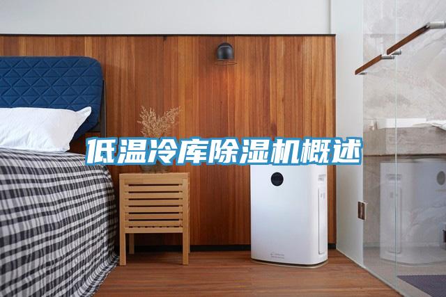 低溫冷庫除濕機概述