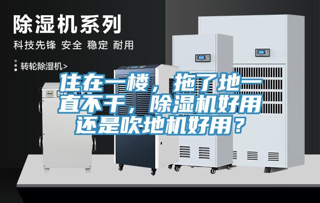 住在一樓，拖了地一直不干，除濕機(jī)好用還是吹地機(jī)好用？
