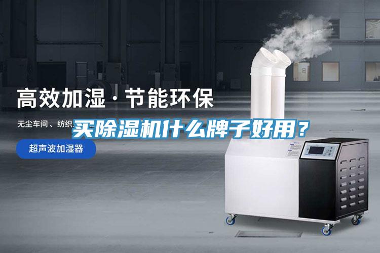 買除濕機什么牌子好用？