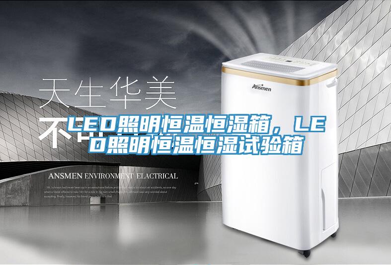 LED照明恒溫恒濕箱，LED照明恒溫恒濕試驗(yàn)箱