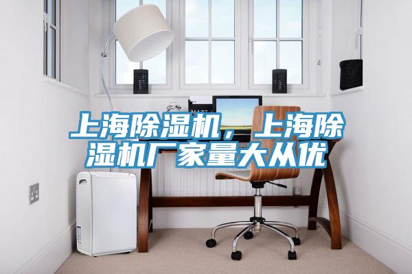 上海除濕機，上海除濕機廠家量大從優(yōu)