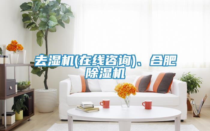 去濕機(jī)(在線咨詢)、合肥除濕機(jī)