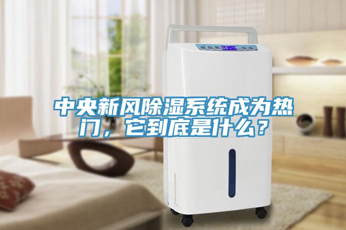 中央新風(fēng)除濕系統(tǒng)成為熱門，它到底是什么？