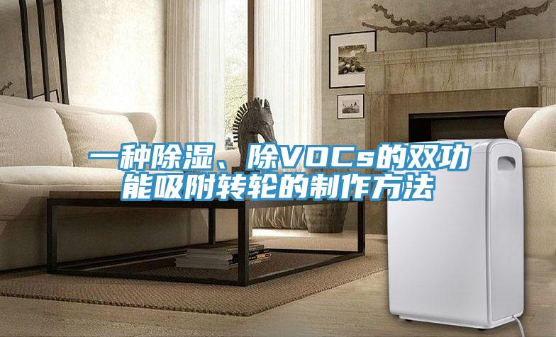 一種除濕、除VOCs的雙功能吸附轉輪的制作方法