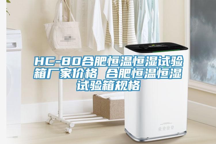 HC-80合肥恒溫恒濕試驗(yàn)箱廠家價(jià)格 合肥恒溫恒濕試驗(yàn)箱規(guī)格