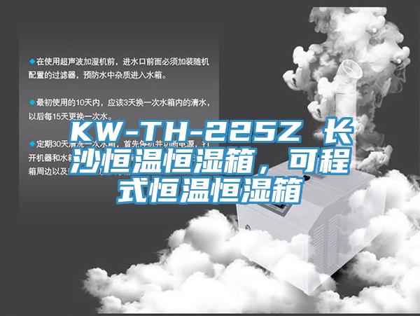KW-TH-225Z 長沙恒溫恒濕箱，可程式恒溫恒濕箱
