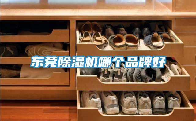 東莞除濕機哪個品牌好