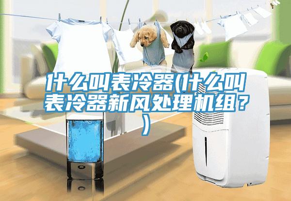 什么叫表冷器(什么叫表冷器新風處理機組？)