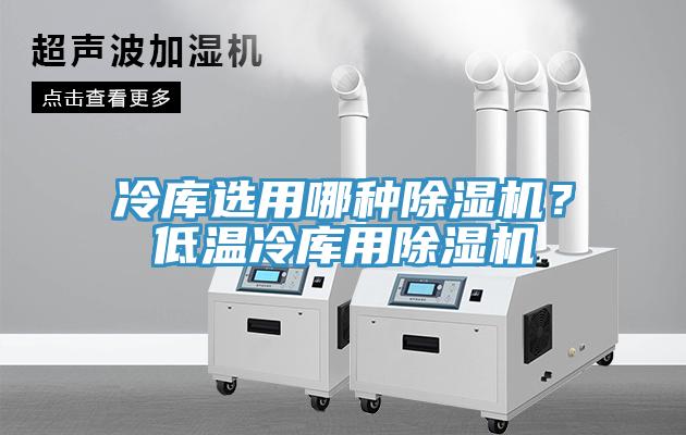 冷庫(kù)選用哪種除濕機(jī)？低溫冷庫(kù)用除濕機(jī)