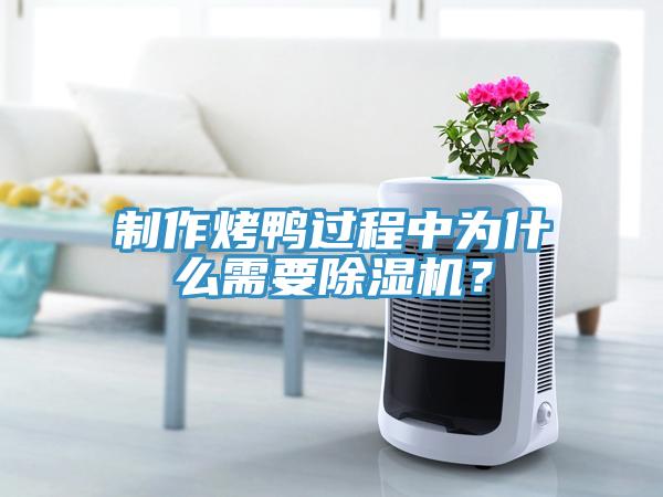 制作烤鴨過程中為什么需要除濕機？