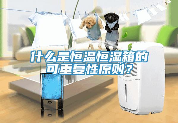 什么是恒溫恒濕箱的可重復(fù)性原則？