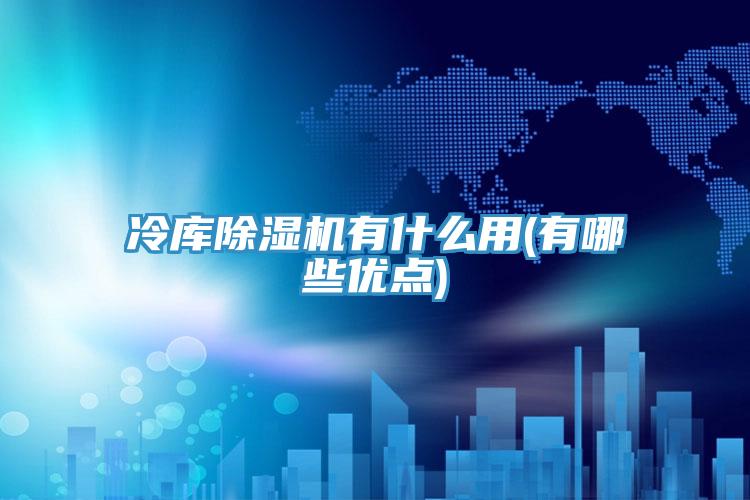 冷庫(kù)除濕機(jī)有什么用(有哪些優(yōu)點(diǎn))